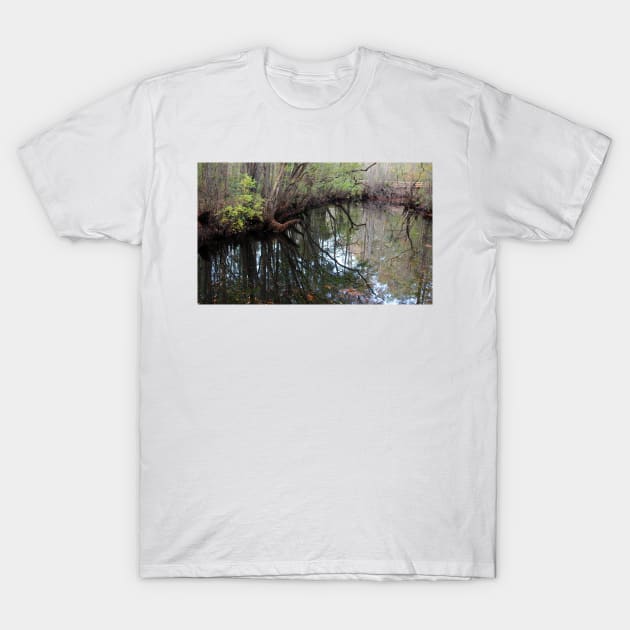 Moores Creek T-Shirt by Cynthia48